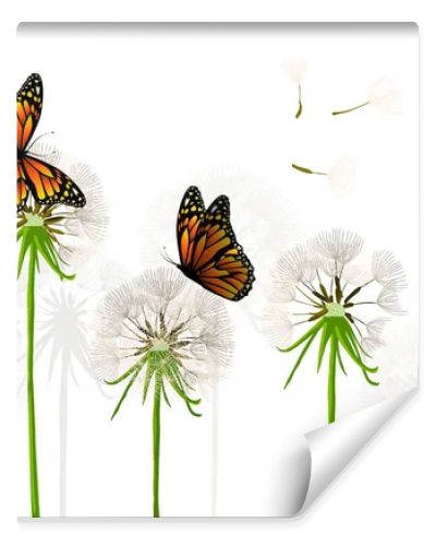 Dandelions with butterflies. Vector illustration