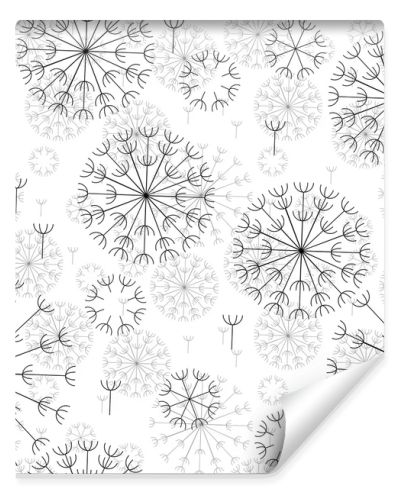 vector abstract seamless black and white pattern of dandelions