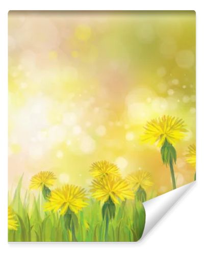Spring background with yellow dandelions.