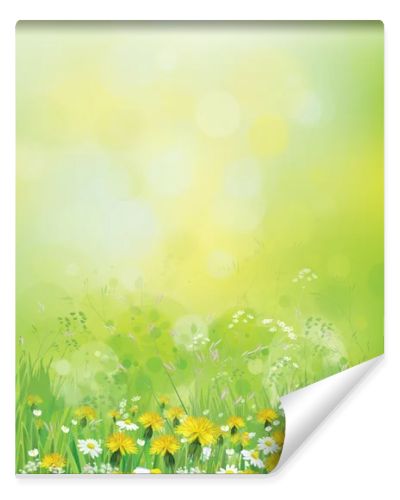 Background with chamomiles and dandelions