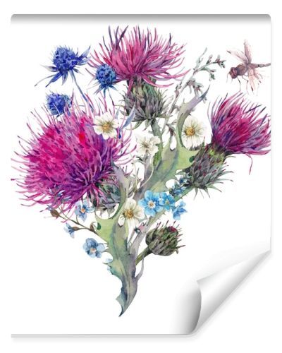 Summer watercolor greeting card with wild flowers, thistles, dan