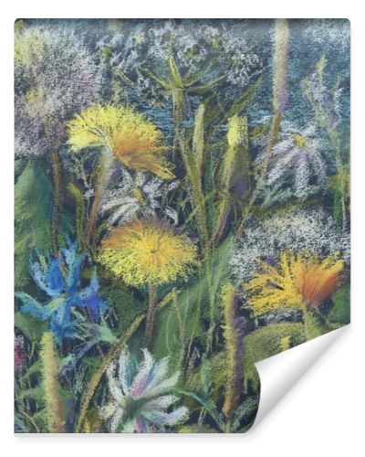 field flowers in summer