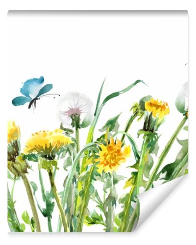 Dandelions. Yellow flowers with butterflies.