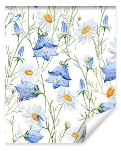 Watercolor chamomile, clover, bell, background