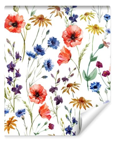 Watercolor poppy, cornflower, daisy wild flowers background