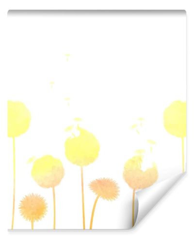Dandelions background