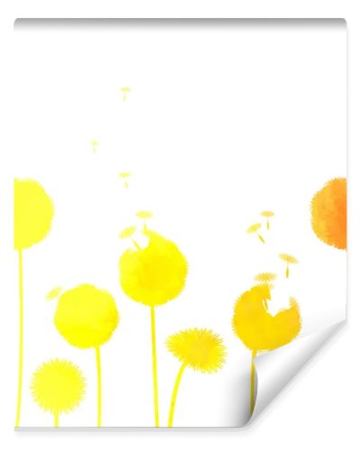 Dandelions background