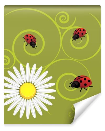 Spring background with dandelions