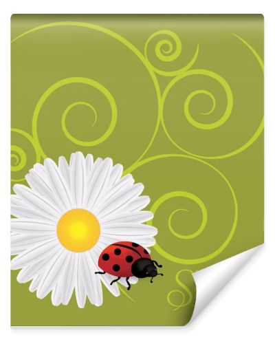 Background with dandelions and ladybug