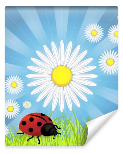 Spring background with dandelions