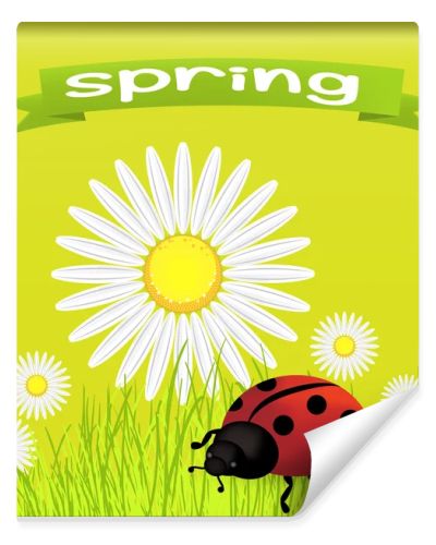 Spring background with dandelions