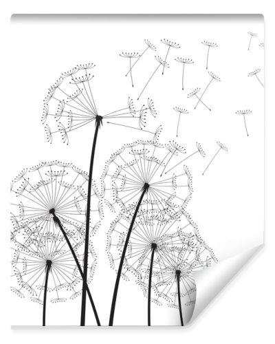 Black vector dandelions