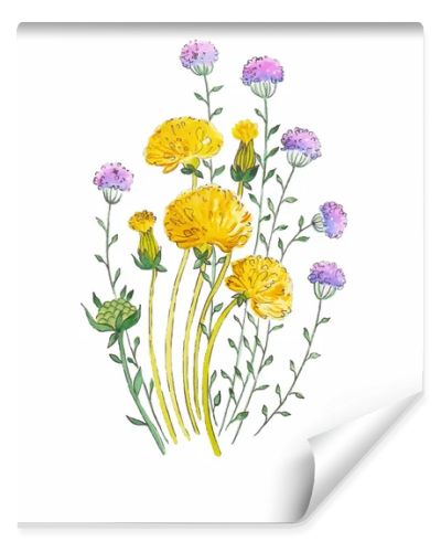 Dandelion and herbs watercolor illustration hand painted in vintage manner