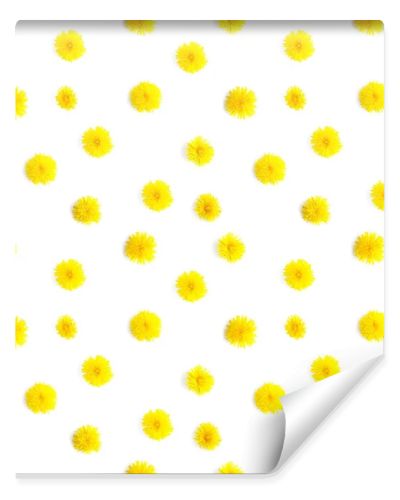 Pattern made from natural yellow wildflowers. Abstract floral composition. Frame of plants. Top view, flat lay. Floral, plants background. Mother's Day, March 8 background