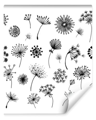 Hand-drawn doodle set of dandelions, can be used for cards and stickers. Set of abstract graphic doodle dandelions. Decorative Elements for design, dandelions.