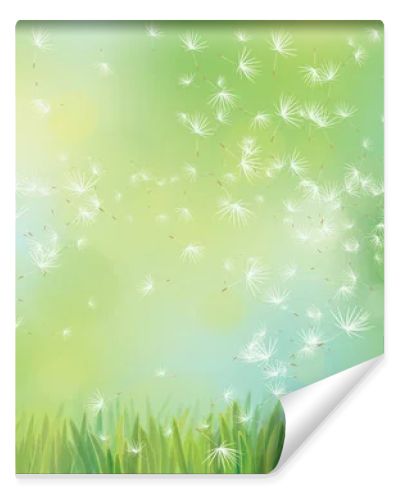 Vector illustration of dandelions in green grass on bokeh background.