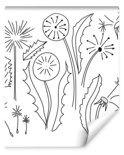 Vector doodle set illustration dandelion with seeds for design