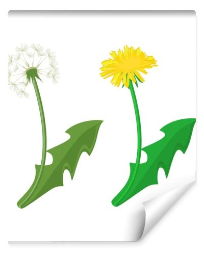 Dandelion raster icon