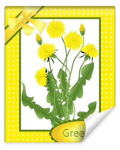 Greeting card bouquet of dandelions
