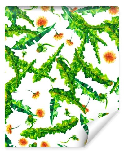 Watercolor floral seamless patterny ellow dandelions. Vintage retro summer background with wildflowers