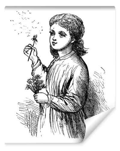 Young Girl Gliding Dandelions by blast of air., vintage line drawing or engraving illustration. 