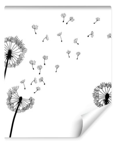 Dandelion time background. The wind inflates a dandelion. Black silhouette with flying dandelion buds on a white. Hand drawn flying blow dandelion buds