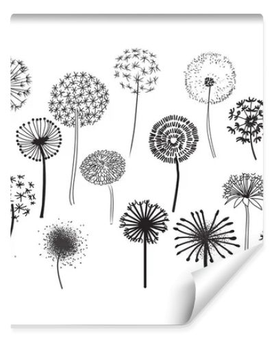 Dandelion Fluffy Seeds Flowers .  Decorative Elements for design, dandelions flowers blooming. Hand Drawn Doodle Style Black And White Drawing Vector Icons Set. pencil sketched dandelions.