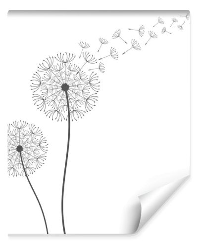 Dandelion background. Vector illustration