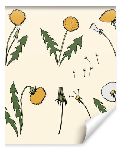Dandelion vector illustration on yellow