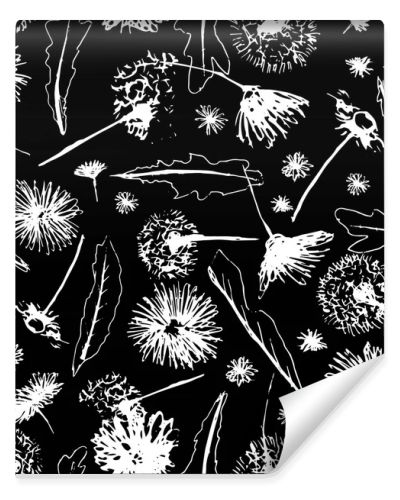 Vector black and white floral dandelions blowballs and daisies seamless pattern background