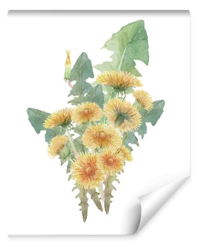 bouquet of watercolor dandelions