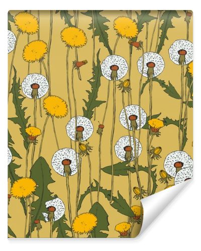 Dandelion botanical isolated illustration