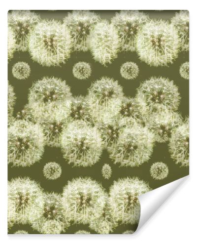 Seamless dandelions pattern illustration