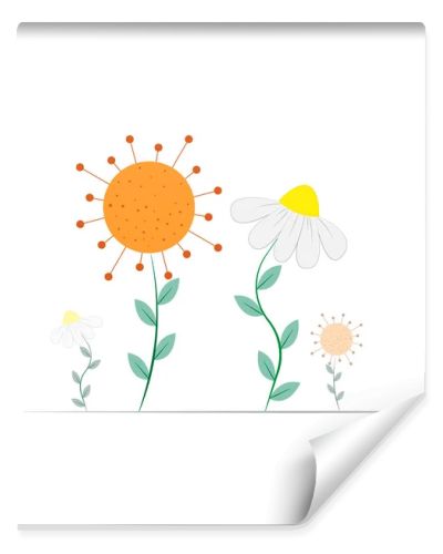 Funny drawing of sunny wildflowers. Chamomile vector