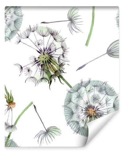 Dandelion blowball with seeds. Watercolor background illustration set. Watercolour drawing fashion aquarelle isolated. Seamless background pattern. Fabric wallpaper print texture.