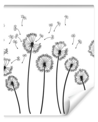 Dandelion wind blow background. Black silhouette with flying dandelion buds on white. Abstract flying seeds. Decorative graphics for printing. Floral scene design.