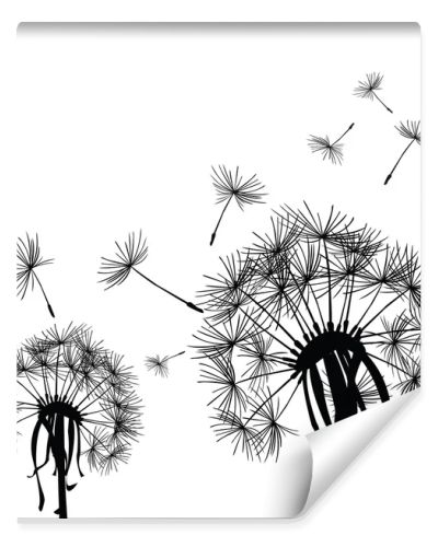 Black dandelion in the wind