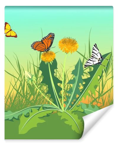 Three butterflies flying in a field