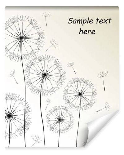 Dandelions card. Vector