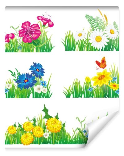 Flowers and grass