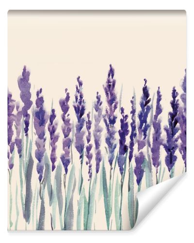 french lavander watercolor illustration