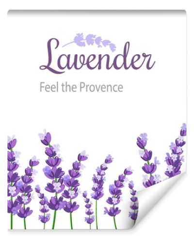 Lavender Card with flowers. Vintage Label with provence violet lavender.