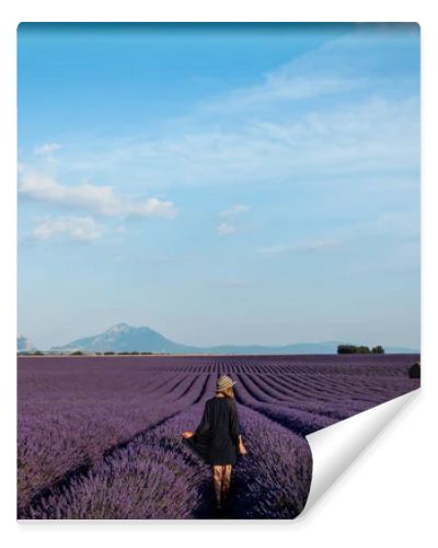 back view of girl walking on picturesque lavender field in provence, france