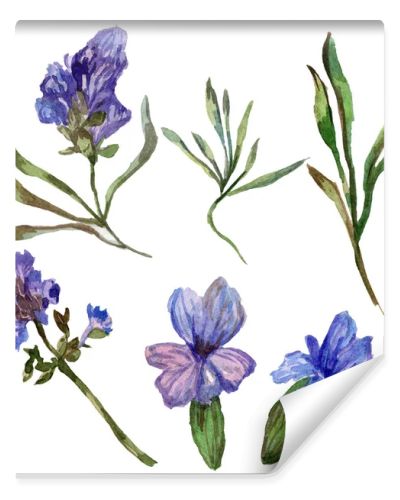 Purple lavender flowers. Wild spring wildflowers isolated on white. Hand drawn lavender flowers in aquarelle. Watercolor background illustration.