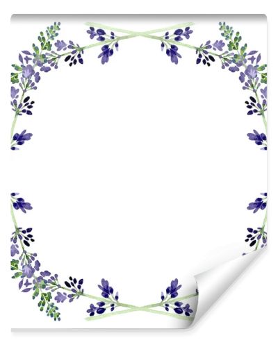 Violet lavender floral botanical flower. Watercolor background illustration set. Frame border ornament square.