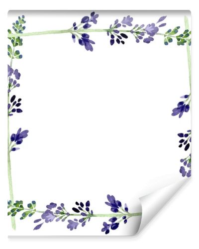 Violet lavender floral botanical flower. Watercolor background illustration set. Frame border ornament square.