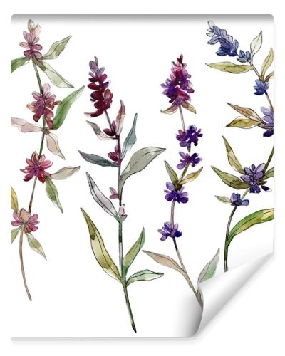 Purple lavender floral botanical flowers. Wild spring leaf wildflower isolated. Watercolor background illustration set. Watercolour drawing fashion aquarelle. Isolated lavender illustration element.