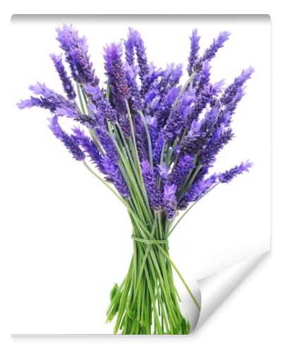 Bunch of lavender