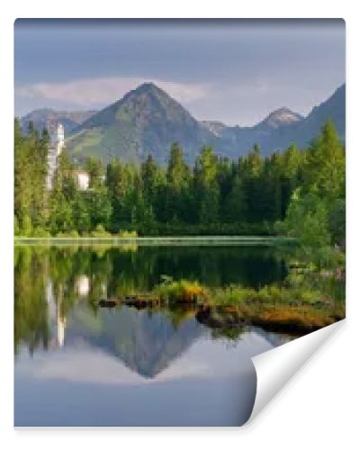 Lake Panorama