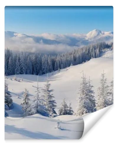 Panorama of winter mountains